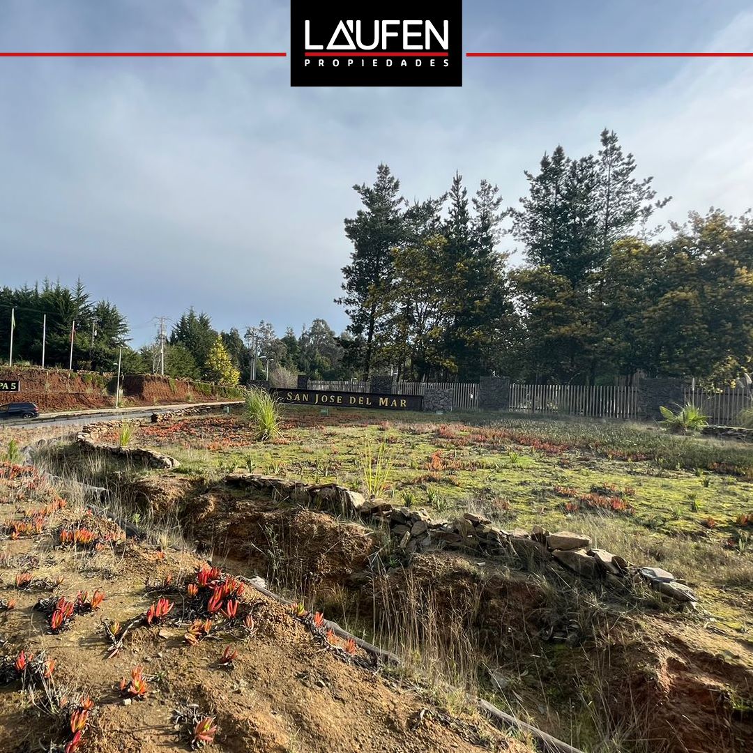 Terreno en venta Punta de Parra Tome